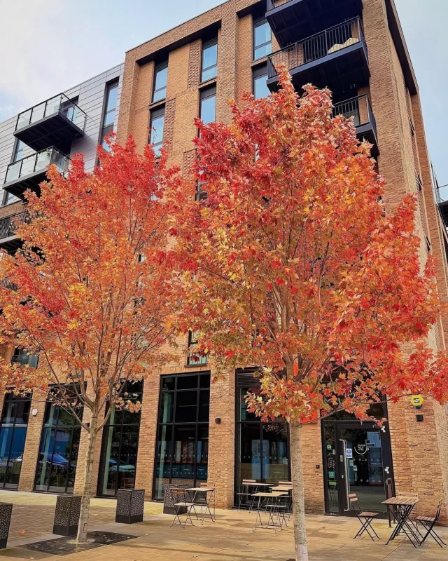 🍁🍂Autumn has definitely arrived at middlewood locks 🍂🍁

@middlewoodlocks community and creating spaces for everyone to enjoy is at the heart of everything we do.  Everyone is welcome💫

📸 thank you @chapelstreetsalford 

#everyoneswelcome #middlewoodlife #publicrealm #community #inclusive